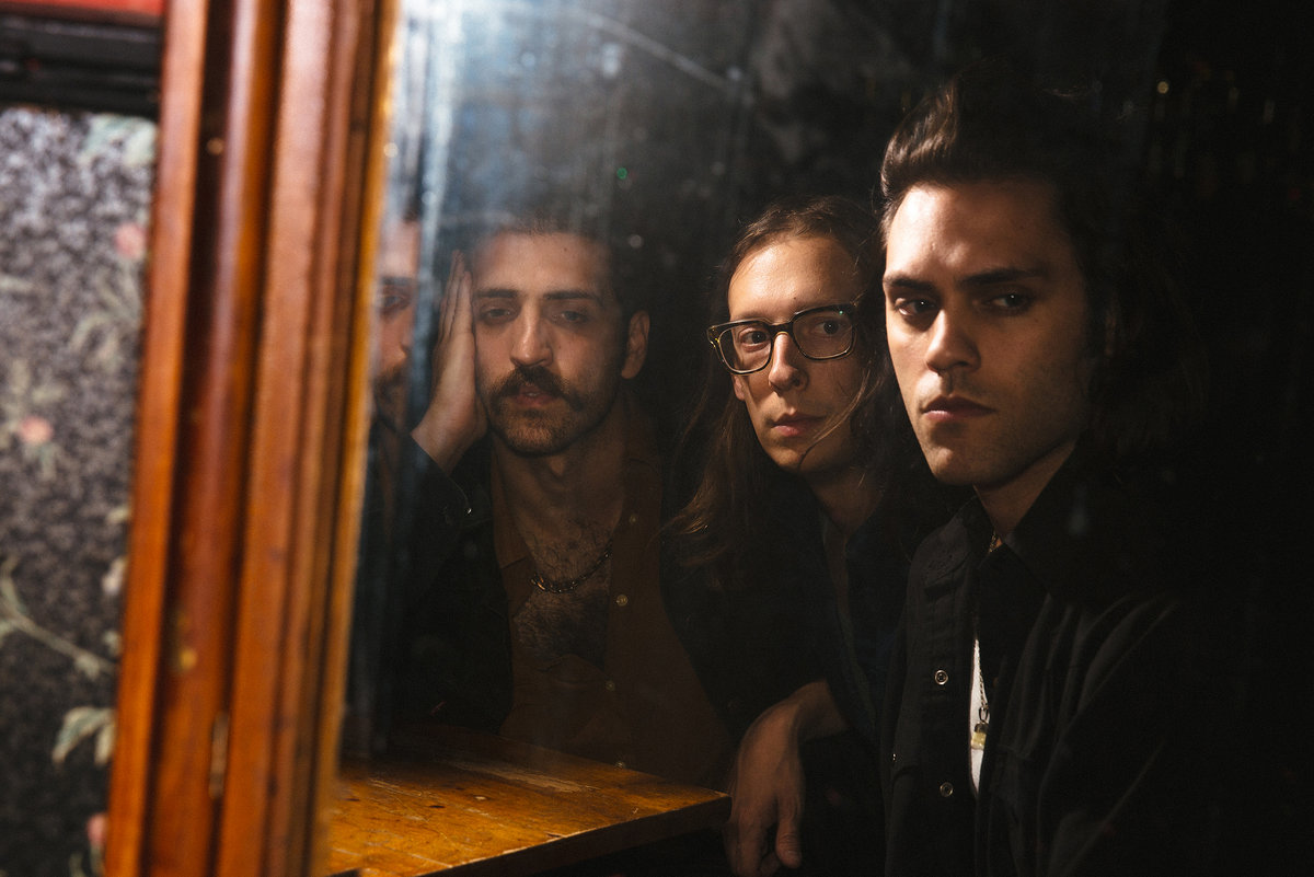 Bambara Talk All Things Stray