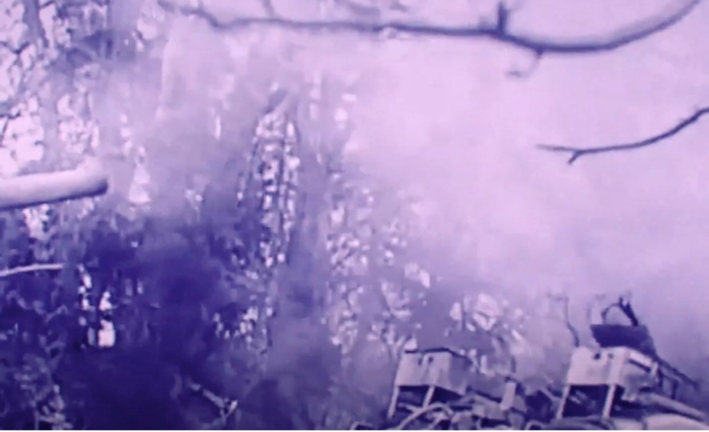 Watch the Video for LIYON’s Latest Single, That Blew Me&nbsp;Up